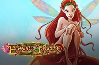 Enchanted Meadow